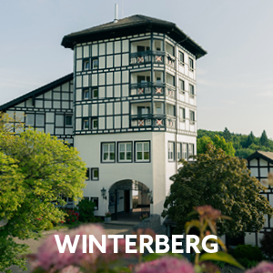 Dorint Resort Winterberg