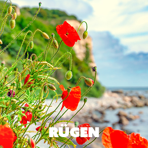 Blühende Auszeit auf Rügen