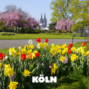 Blühende Auszeit in Köln